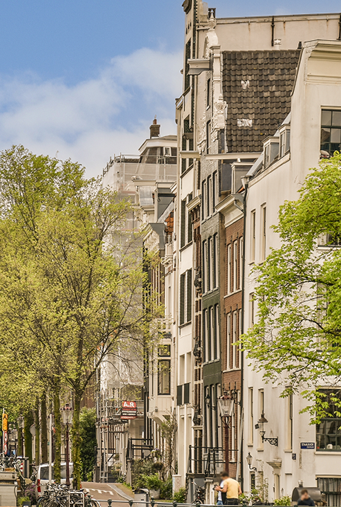 Straat met historische gevels en groene bomen